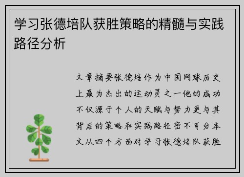 学习张德培队获胜策略的精髓与实践路径分析