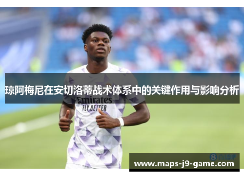 琼阿梅尼在安切洛蒂战术体系中的关键作用与影响分析