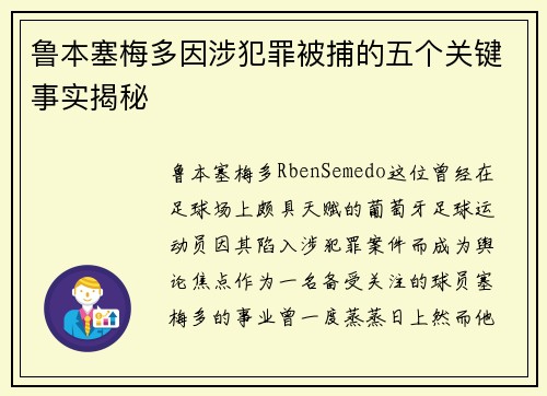 鲁本塞梅多因涉犯罪被捕的五个关键事实揭秘